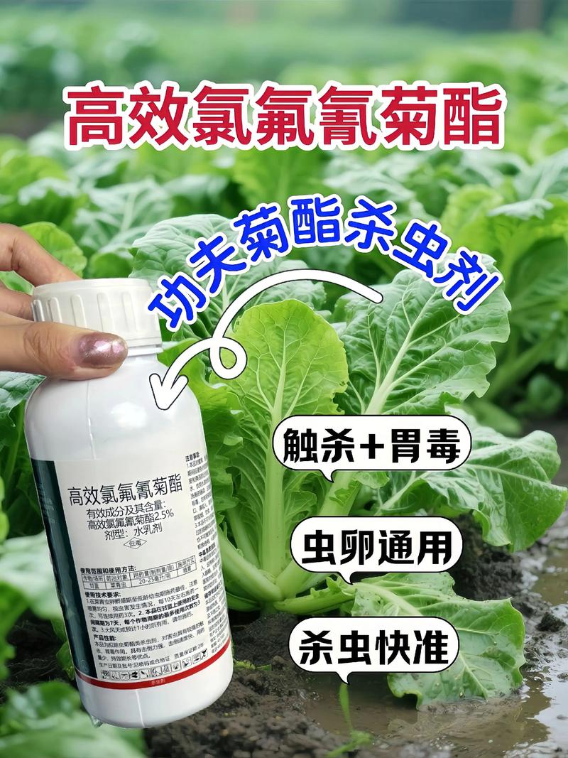 江门代生中心:农药对供卵代生妈妈的危害